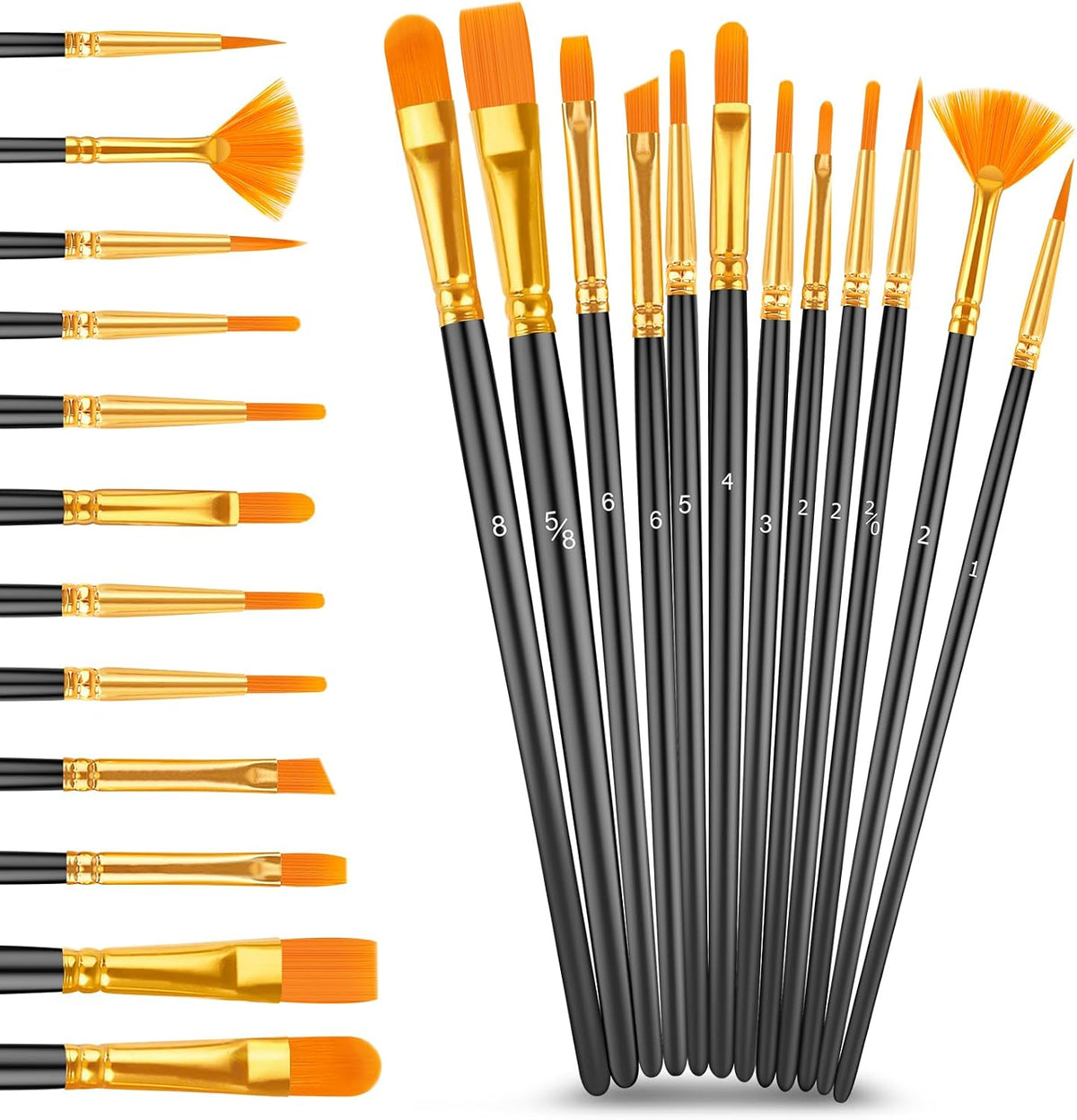 Caliart 36 Colors Acrylic Paint Set with 12 Brushes | Craft Painting kit for Adults Artists Beginners, Rich Pigment Non-toxic, Canvas Wood Rock Pumpkin Ceramic Art Supplies Paint