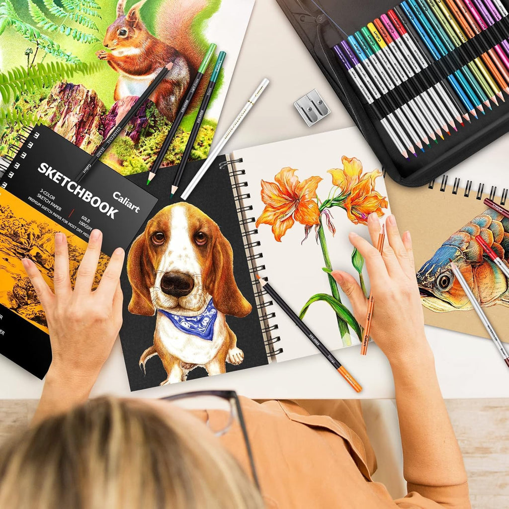 Caliart 176PCS Art Supplies Sketching Kit with 100 Sheets 3-Color Sketch Book, Graphite Colored Charcoal Watercolor & Metallic Pencils, Drawing Supplies Set Gifts for Artists Adults Beginners
