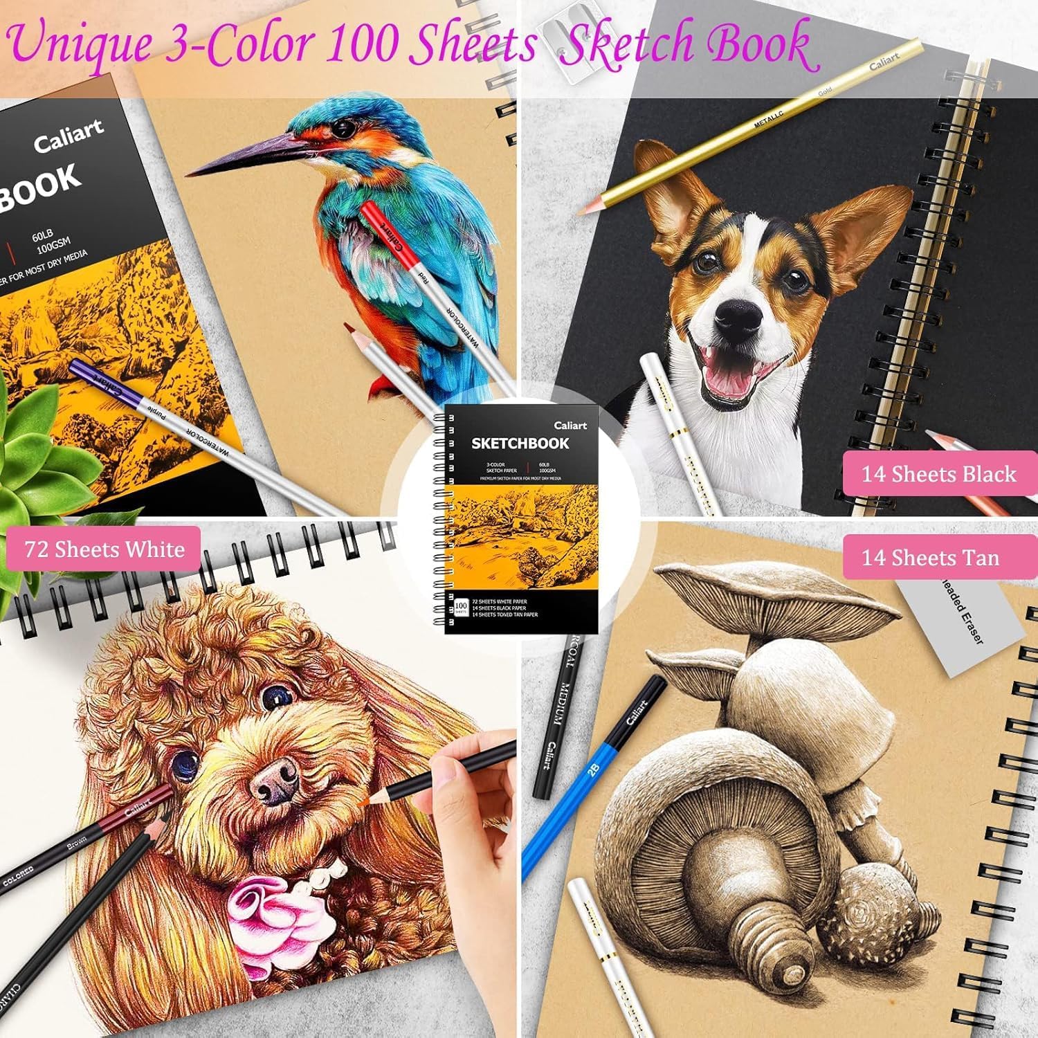 Caliart 176PCS Art Supplies Sketching Kit with 100 Sheets 3-Color Sketch Book, Graphite Colored Charcoal Watercolor & Metallic Pencils, Drawing Supplies Set Gifts for Artists Adults Beginners