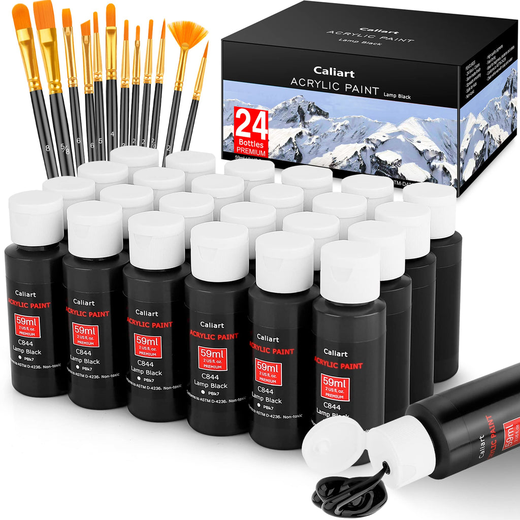 Caliart Iridescent Acrylic Paint, 24 Chameleon Colors in 59ml/2oz Bottles with 12 Brushes, Art Craft Paints Color-shifting for Adults Artists Beginners, Canvas Ceramic Wood Rock Painting Kit