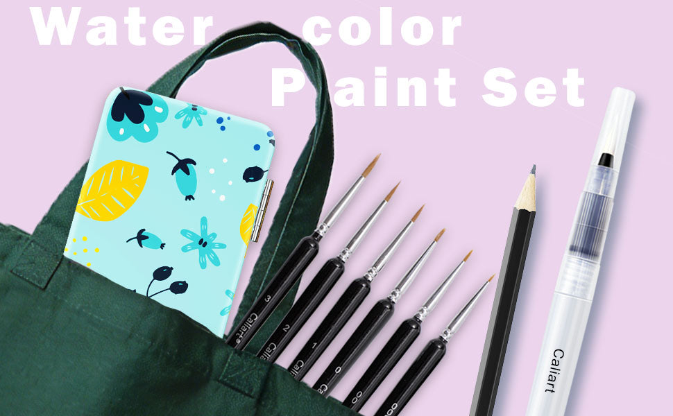 Caliart 100-color watercolor set contents
